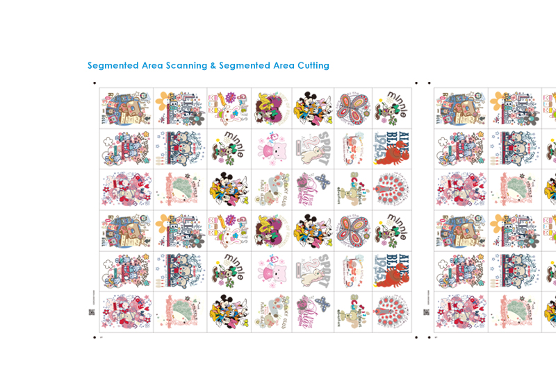 Segmented Area Cutting Operation