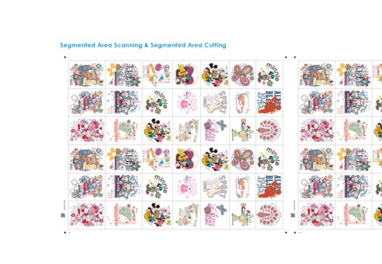 Segmented Area Cutting Operation